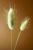 Img.VTax4038.Ex2.Img1