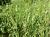 Img.VTax4089.Ex1.Img2