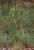 Img.VTax4093.Ex1.Img1