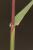 Img.VTax4093.Ex1.Img3
