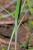 Img.VTax4098.Ex1.Img3