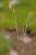 Img.VTax4098.Ex1.Img4