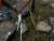 Img.VTax4098.Ex2.Img1