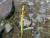 Img.VTax4098.Ex2.Img3