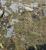 Img.VTax4098.Ex2.Img5