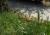 Img.VTax4108.Ex1.Img3