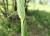 Img.VTax4108.Ex1.Img4