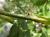 Img.VTax411.Ex2.Img1