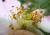 Img.VTax411.Ex2.Img3