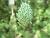 Img.VTax4110.Ex1.Img1