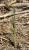 Img.VTax4139.Ex1.Img1