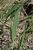 Img.VTax4139.Ex1.Img3