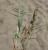 Img.VTax4149.Ex1.Img1