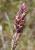 Img.VTax4149.Ex1.Img3