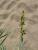 Img.VTax4149.Ex1.Img4