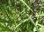 Img.VTax4162.Ex1.Img4