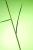 Img.VTax4165.Ex1.Img2