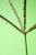 Img.VTax4165.Ex1.Img3
