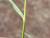 Img.VTax4165.Ex2.Img3