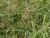 Img.VTax4177.Ex1.Img1