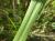 Img.VTax4177.Ex3.Img2