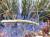Img.VTax4182.Ex1.Img1
