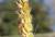 Img.VTax4182.Ex1.Img10
