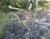 Img.VTax4182.Ex1.Img2