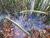 Img.VTax4182.Ex1.Img3