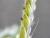 Img.VTax4182.Ex1.Img4