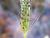 Img.VTax4182.Ex1.Img5