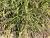 Img.VTax4182.Ex1.Img6