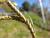 Img.VTax4182.Ex1.Img8