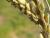 Img.VTax4182.Ex1.Img9