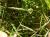 Img.VTax4182.Ex2.Img1