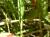 Img.VTax4182.Ex2.Img2
