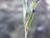 Img.VTax4184.Ex1.Img1