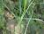 Img.VTax4184.Ex3.Img1