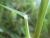 Img.VTax4184.Ex3.Img2