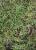 Img.VTax4186.Ex1.Img1