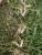 Img.VTax4186.Ex1.Img2