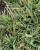 Img.VTax4186.Ex2.Img1