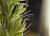 Img.VTax4187.Ex1.Img1
