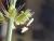 Img.VTax4187.Ex1.Img4