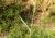 Img.VTax4188.Ex1.Img2
