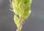 Img.VTax4188.Ex1.Img5