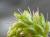 Img.VTax4188.Ex1.Img6