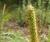 Img.VTax4190.Ex1.Img1