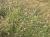 Img.VTax4190.Ex2.Img1