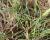 Img.VTax4190.Ex2.Img2